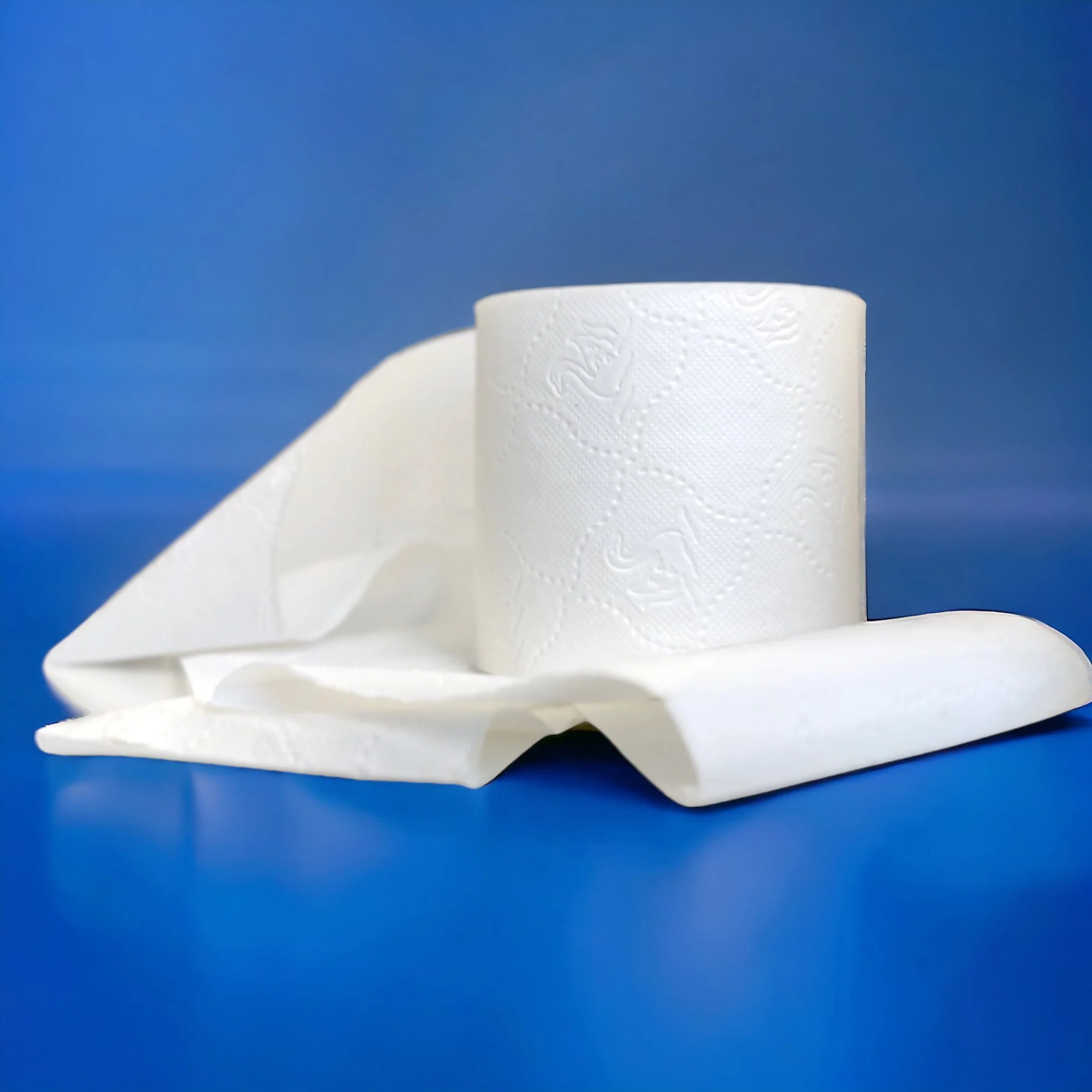 320 Sheet Toilet Rolls - 2 Ply - Embossed - Pallet | 66 Cases - Image 5