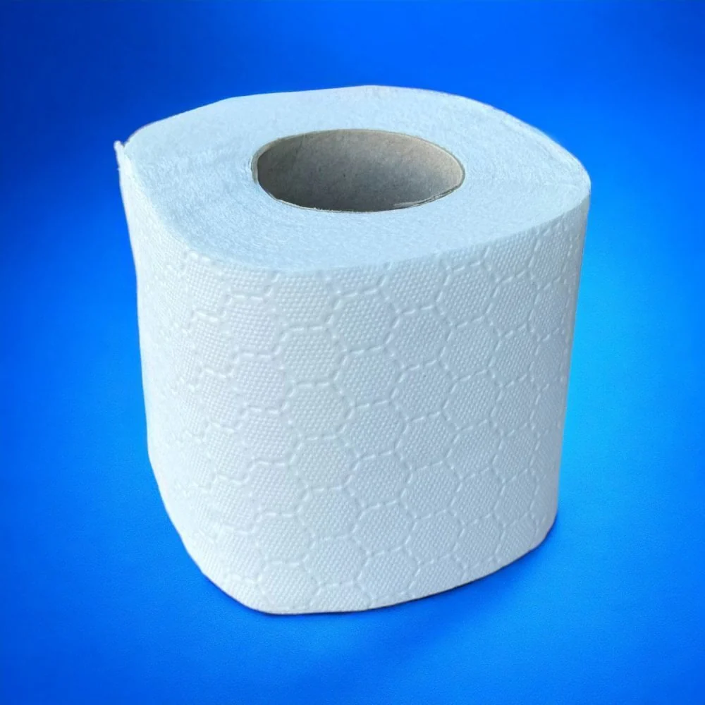 Value 2 Ply Embossed Toilet Rolls | 84 Cases - Image 18